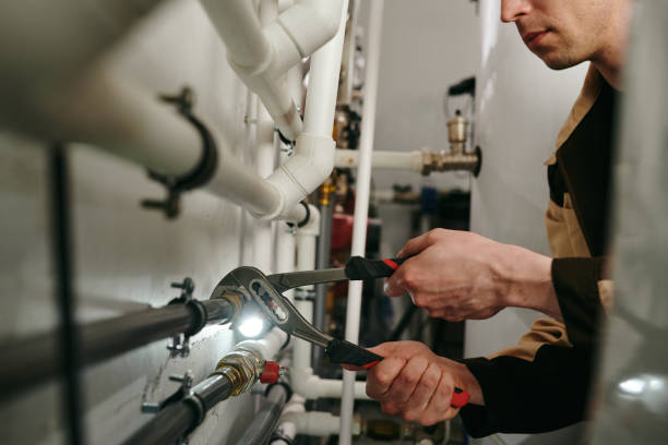 Best Clogged Drain Plumber  in Woodstown, NJ